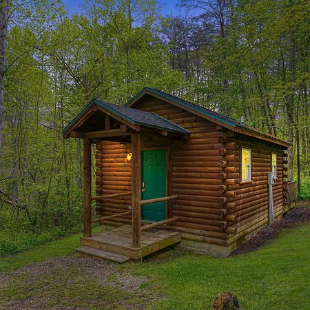 Blue Rose Cabins - Cozy Cabin Логан Экстерьер фото